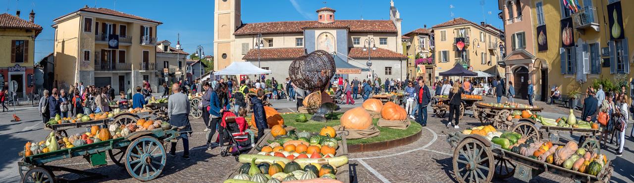PIOZZO